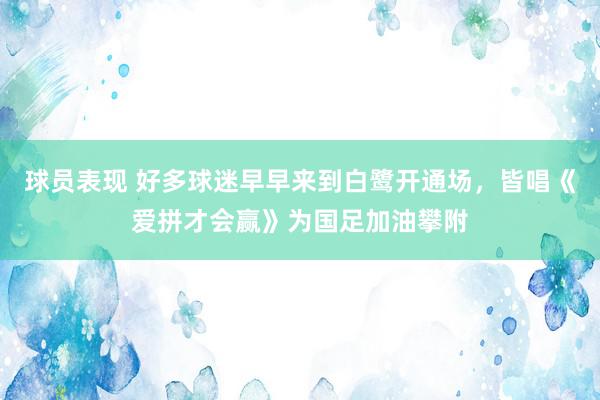 球员表现 好多球迷早早来到白鹭开通场，皆唱《爱拼才会赢》为国足加油攀附