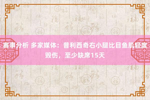 赛事分析 多家媒体：普利西奇右小腿比目鱼肌轻度毁伤，至少缺席15天