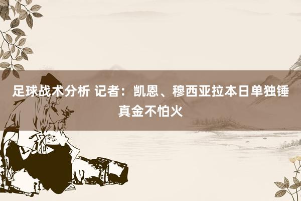 足球战术分析 记者：凯恩、穆西亚拉本日单独锤真金不怕火