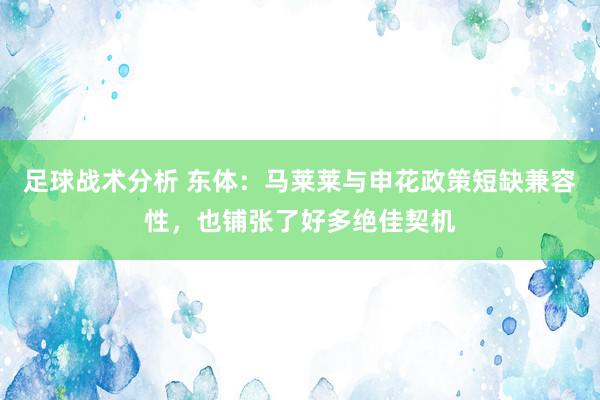 足球战术分析 东体：马莱莱与申花政策短缺兼容性，也铺张了好多绝佳契机