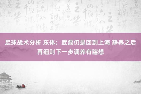 足球战术分析 东体：武磊仍是回到上海 静养之后再细则下一步调养有瞎想